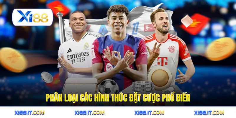 Thể thao 5 Phân loại các hình thức đặt cược phổ biến